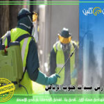 فحص الأثاث المستعمل قبل الشراء أو النقل: كيف تميّز مخاطر الصراصير وبق الفراش؟