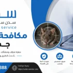 شركة رش البق بجدة
